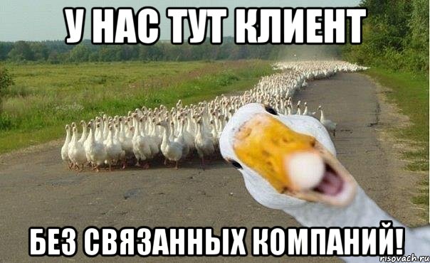 У нас тут клиент без связанных компаний!, Мем гуси