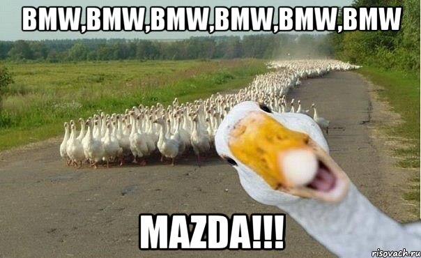 bmw,bmw,bmw,bmw,bmw,bmw MAZDA!!!, Мем гуси