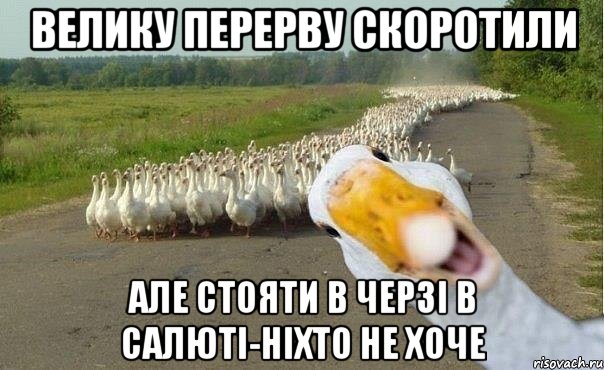 ВЕЛИКУ ПЕРЕРВУ СКОРОТИЛИ АЛЕ СТОЯТИ В ЧЕРЗІ В САЛЮТІ-НІХТО НЕ ХОЧЕ, Мем гуси