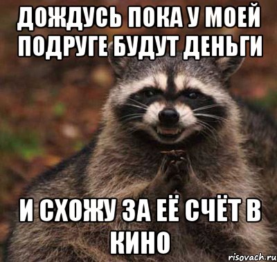 Дождусь пока у моей подруге будут деньги и схожу за её счёт в кино, Мем  Хитрый енот
