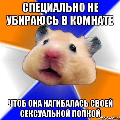 специально не убираюсь в комнате чтоб она нагибалась своей сексуальной попкой, Мем Хомяк