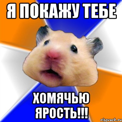 Я покажу тебе хомячью ярость!!!, Мем Хомяк