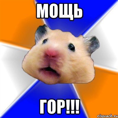 МОЩЬ ГОР!!!, Мем Хомяк