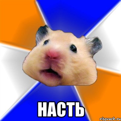  насть, Мем Хомяк