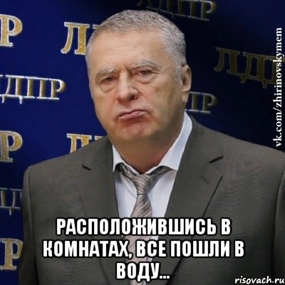  Расположившись в комнатах, все пошли в воду…, Мем Хватит это терпеть (Жириновский)