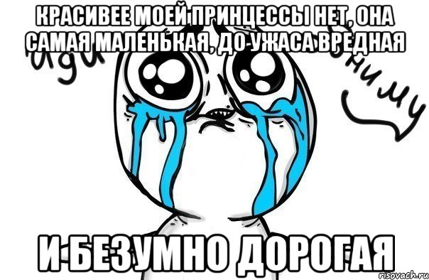 Красивее моей принцессы нет, она самая маленькая, до ужаса вредная и безумно дорогая, Мем Иди обниму