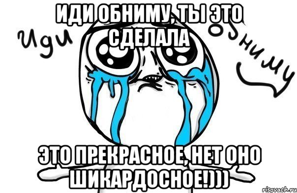 иди обниму, ты это сделала это прекрасное, нет оно шикардосное!))), Мем Иди обниму