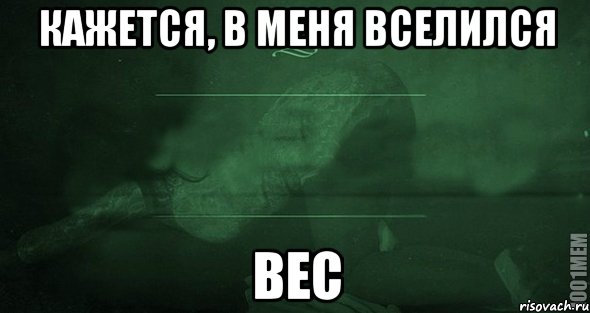 Кажется, в меня вселился ВЕС, Мем Игра слов 2