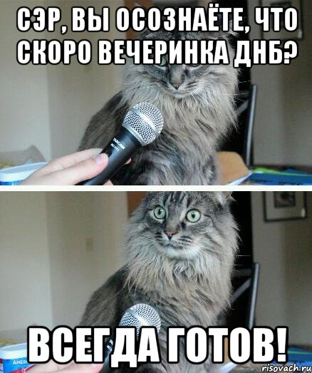 Сэр, вы осознаёте, что скоро вечеринка днб? Всегда готов!, Комикс  кот с микрофоном