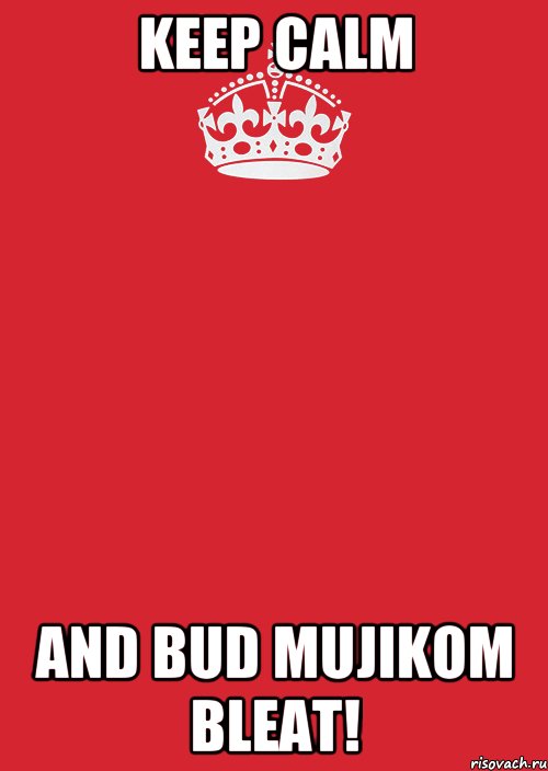 Keep calm and bud mujikom bleat!, Комикс Keep Calm 3