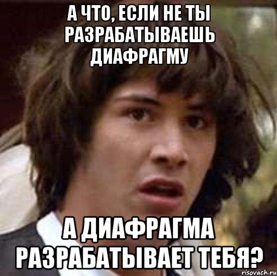 а что, если не ты разрабатываешь диафрагму а диафрагма разрабатывает тебя?, Мем А что если (Киану Ривз)