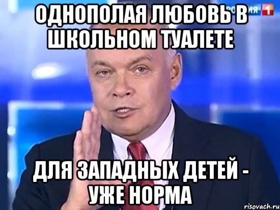 Однополая любовь в школьном туалете для западных детей - уже норма, Мем Киселёв 2014