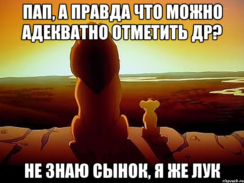 Пап, а правда что можно адекватно отметить др? Не знаю сынок, я же Лук, Мем  король лев