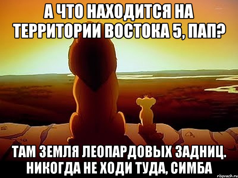 А что находится на территории Востока 5, пап? Там земля леопардовых задниц. Никогда не ходи туда, Симба, Мем  король лев