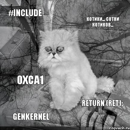 #include Котики... Сотни котиков... genkernel return (ret); 0xCA1