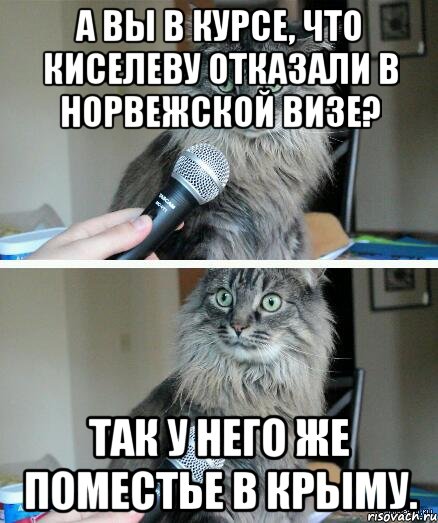 А вы в курсе, что Киселеву отказали в норвежской визе? Так у него же поместье в Крыму., Комикс  кот с микрофоном