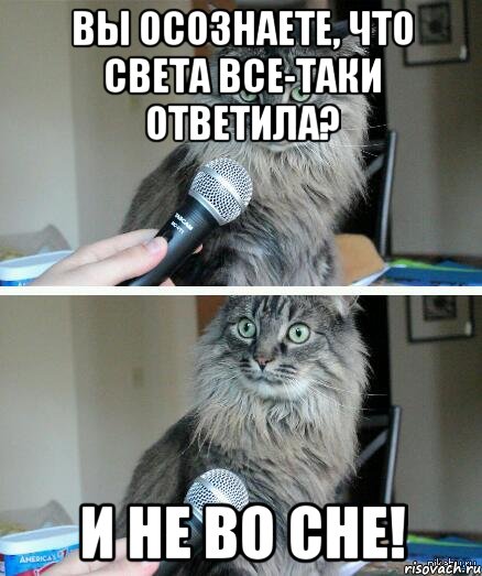 Вы осознаете, что Света все-таки ответила? И НЕ ВО СНЕ!, Комикс  кот с микрофоном