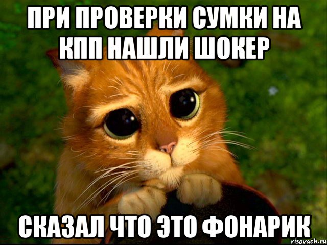 при проверки сумки на кпп нашли шокер сказал что это фонарик, Мем кот из шрека