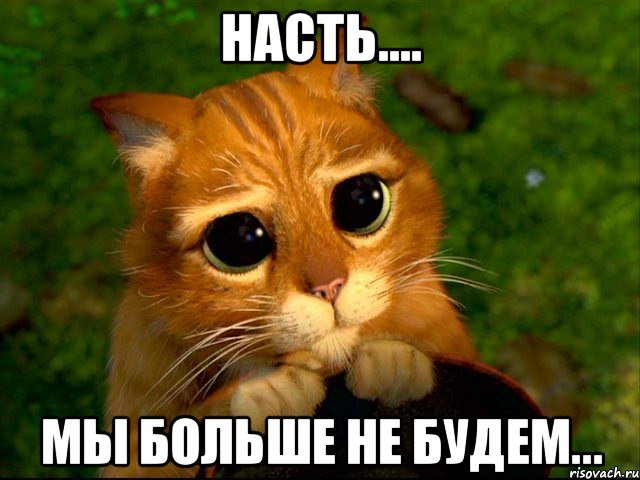 Насть.... Мы больше не будем..., Мем кот из шрека