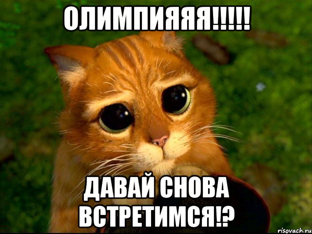 Олимпияяя!!!!! давай снова встретимся!?, Мем кот из шрека