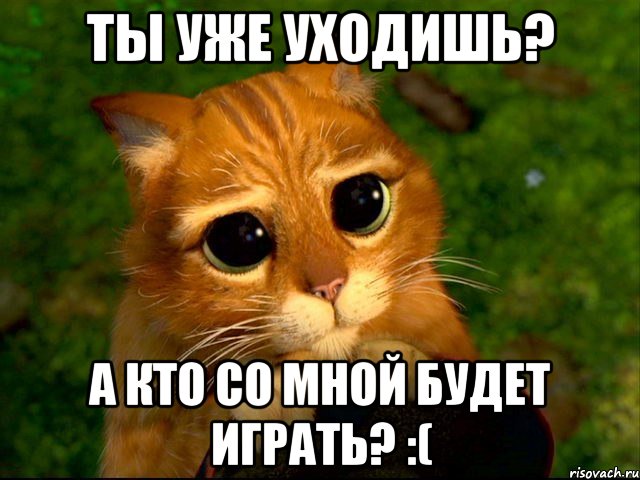 Ты уже уходишь? А кто со мной будет играть? :(, Мем кот из шрека