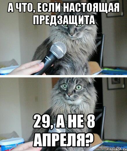 а что, если настоящая предзащита 29, а не 8 апреля?, Комикс  кот с микрофоном