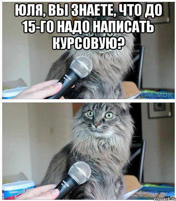 Юля, вы знаете, что до 15-го надо написать курсовую? , Комикс  кот с микрофоном