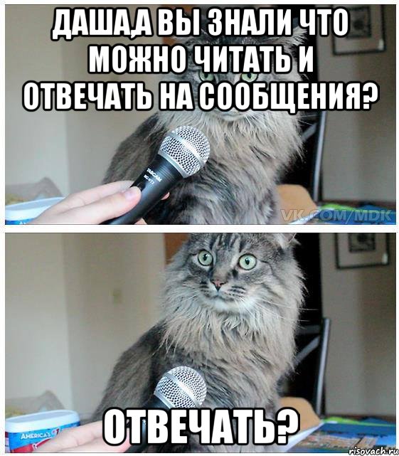 Даша,а вы знали что можно читать и отвечать на сообщения? Отвечать?, Комикс  кот с микрофоном