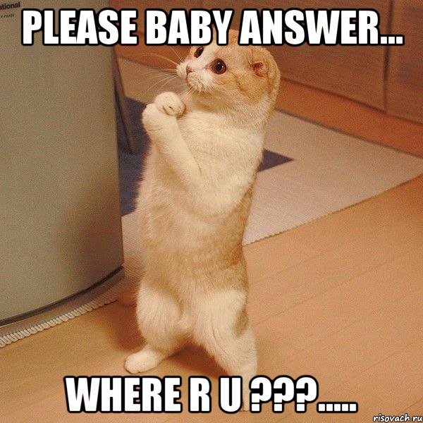 Please baby answer... Where r u ???....., Мем  котэ молится