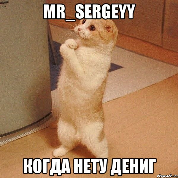 Mr_Sergeyy когда нету дениг, Мем  котэ молится