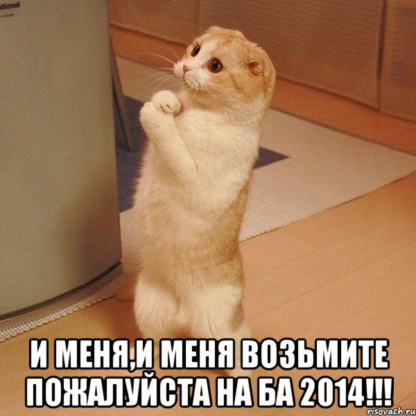  И МЕНЯ,И МЕНЯ ВОЗЬМИТЕ ПОЖАЛУЙСТА НА БА 2014!!!, Мем  котэ молится