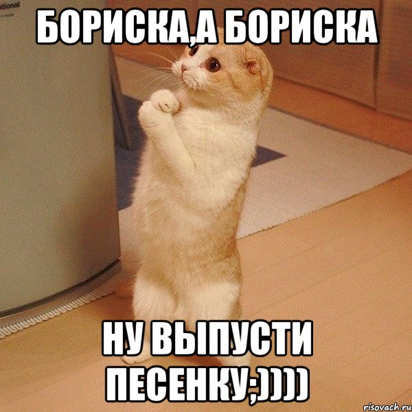 Бориска,а Бориска ну выпусти песенку;)))), Мем  котэ молится