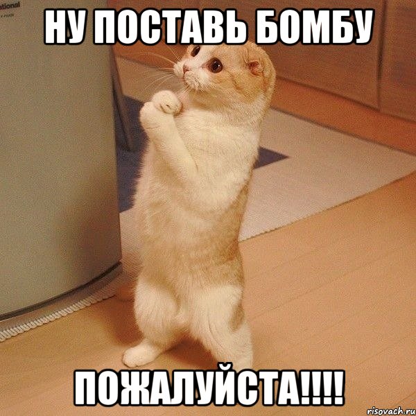 Ну поставь бомбу Пожалуйста!!!!, Мем  котэ молится