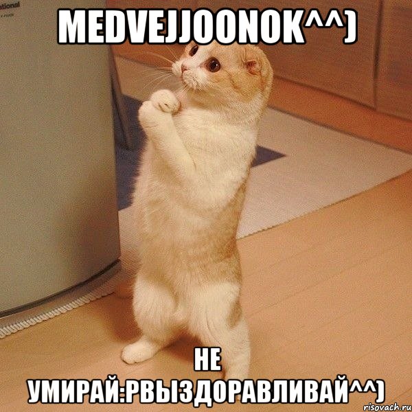 MeDVejJOoNoK^^) Не умирай:PВыздоравливай^^), Мем  котэ молится