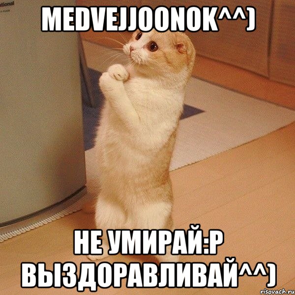 MeDVejJOoNoK^^) Не умирай:P Выздоравливай^^), Мем  котэ молится