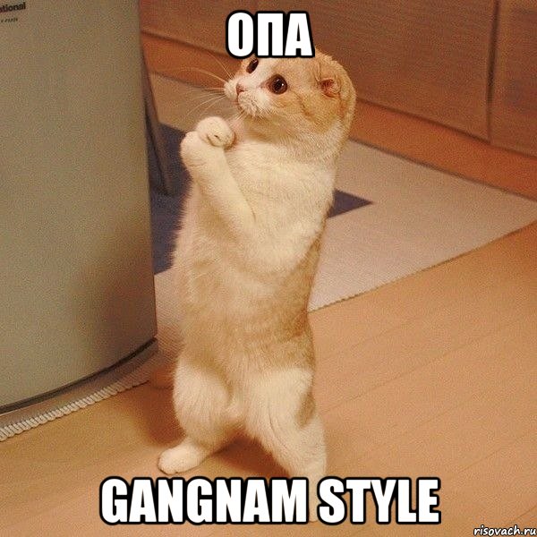 Опа gangnam style, Мем  котэ молится