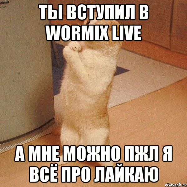 ты вступил в WORMIX LIVE а мне можно пжл я всё про лайкаю, Мем  котэ молится