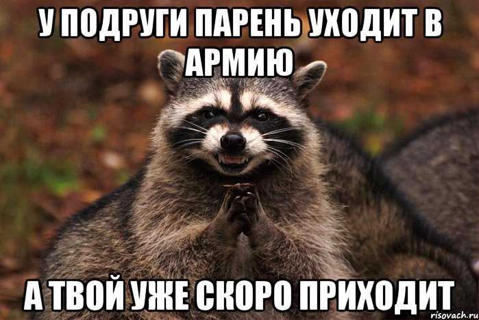 у подруги парень уходит в армию а твой уже скоро приходит, Мем  Хитрый енот