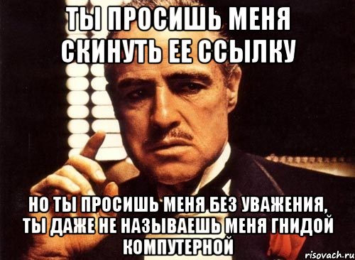 Ты просишь меня скинуть ее ссылку Но ты просишь меня без уважения, ты даже не называешь меня гнидой компутерной, Мем крестный отец