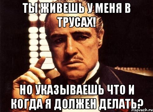 Ты живешь у меня в трусах! но указываешь что и когда я должен делать?, Мем крестный отец