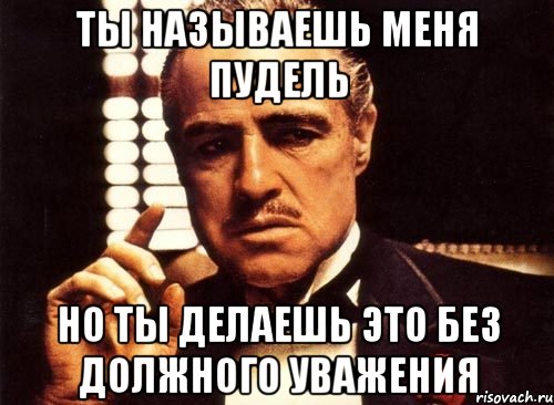 ТЫ НАЗЫВАЕШЬ МЕНЯ ПУДЕЛЬ НО ТЫ ДЕЛАЕШЬ ЭТО БЕЗ ДОЛЖНОГО УВАЖЕНИЯ, Мем крестный отец