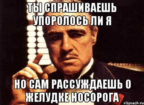 Ты спрашиваешь упоролось ли я но сам рассуждаешь о желудке носорога, Мем крестный отец