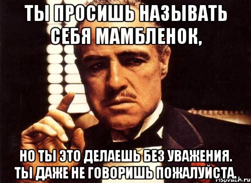 Ты просишь называть себя Мамбленок, но ты это делаешь без уважения. Ты даже не говоришь пожалуйста., Мем крестный отец