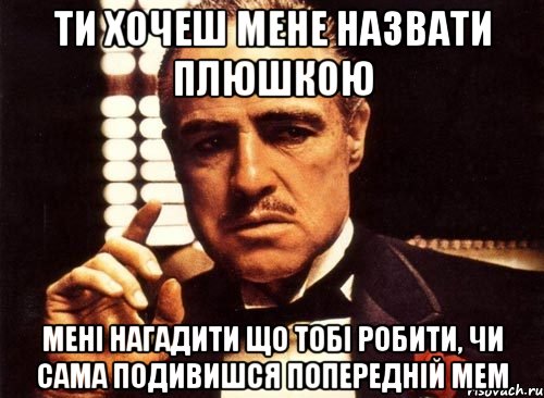 Ти хочеш мене назвати плюшкою мені нагадити що тобі робити, чи сама подивишся попередній мем, Мем крестный отец