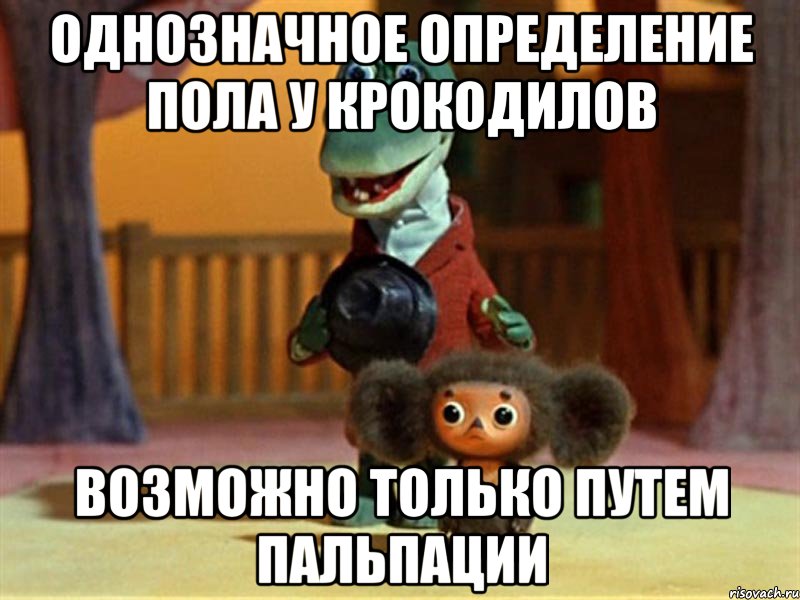 Однозначное определение пола у крокодилов возможно только путем пальпации, Мем Крокодил Гена - Чебурашечка милы