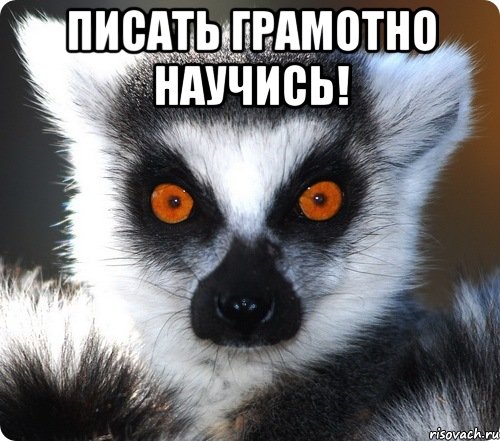 Писать грамотно научись! 