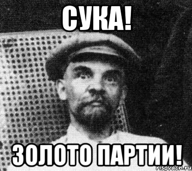 сука! золото партии!, Мем   Ленин удивлен