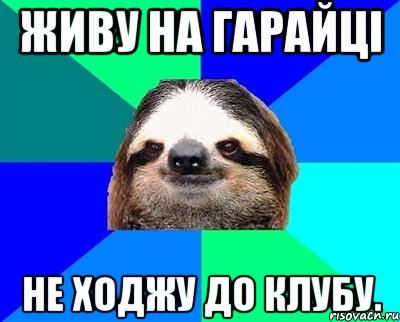 ЖИВУ НА ГАРАЙЦІ НЕ ХОДЖУ ДО КЛУБУ., Мем Ленивец