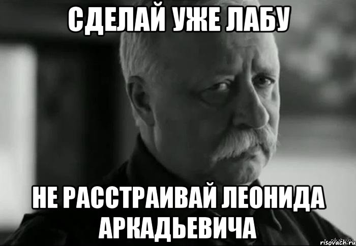 Сделай уже лабу не расстраивай Леонида Аркадьевича, Мем Не расстраивай Леонида Аркадьевича