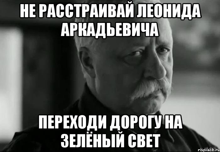 НЕ РАССТРАИВАЙ ЛЕОНИДА АРКАДЬЕВИЧА ПЕРЕХОДИ ДОРОГУ НА ЗЕЛЁНЫЙ СВЕТ, Мем Не расстраивай Леонида Аркадьевича